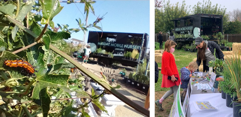 2022 asla communications award of honor miridae mobile nursery growing a native plant community