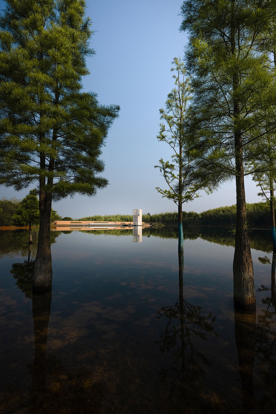 湖水倒影树林、晴雨塔和天空The lake reflects the woods the rain tower and the sky ©️王宁