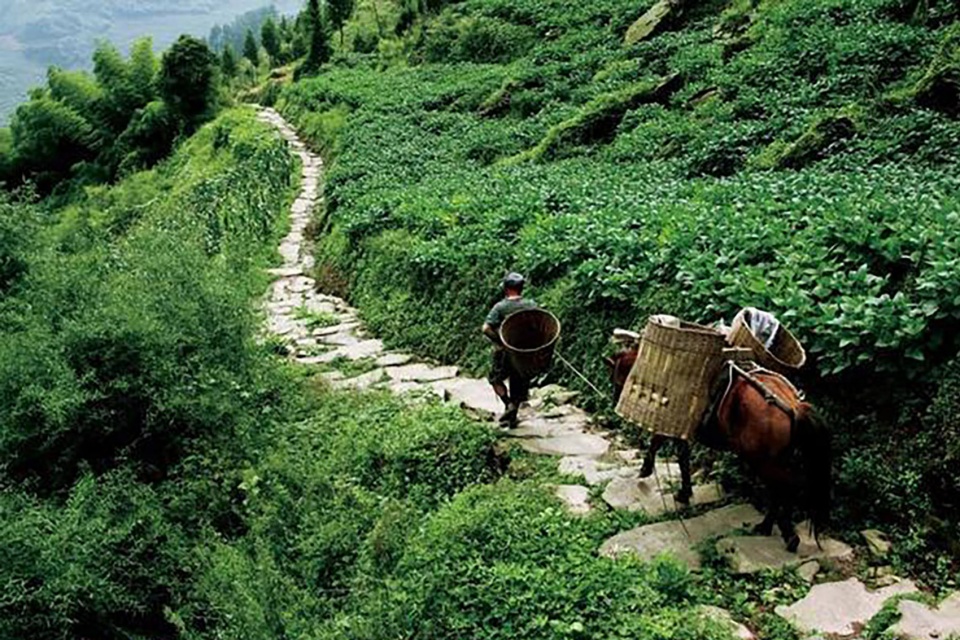 global collection of yaan baizhang lake landscaping and rural architecture international design competition hc4