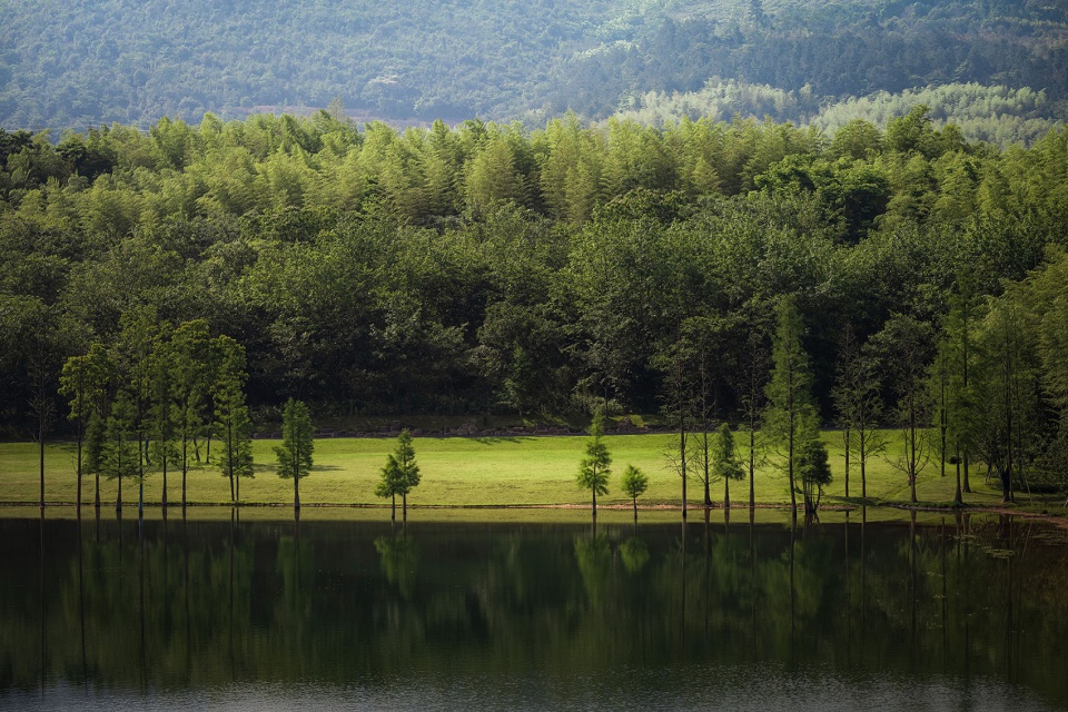 湖畔的风景Lakeside view ©️王宁