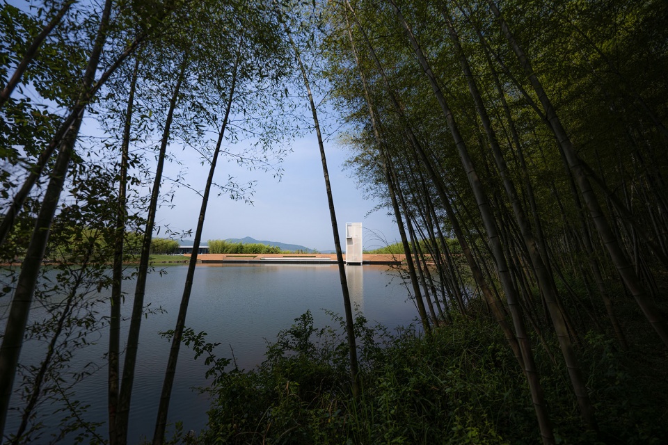 竹林中的塔影Tower shadow in the bamboo forest ©️王宁