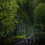 宜兴窑湖小镇晴雨湖公园景观设计，江苏 / 承迹景观