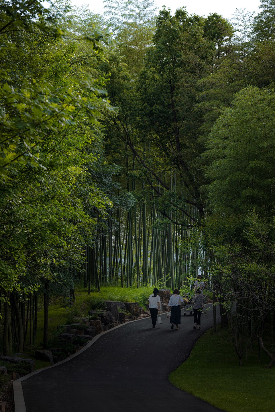 林中步道Forest Trail ©️王宁