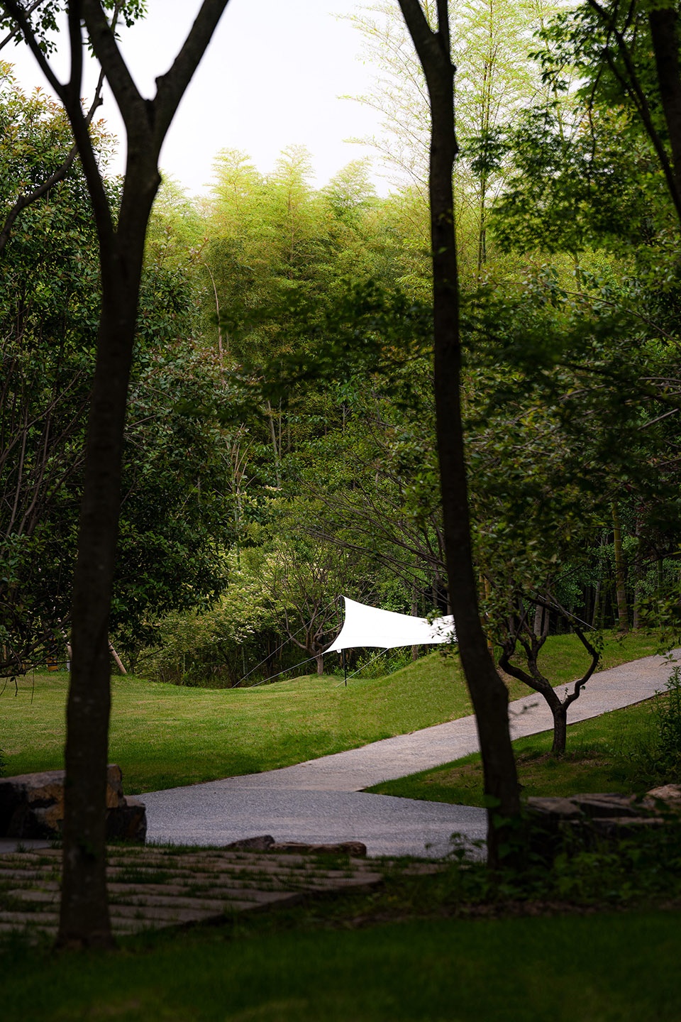 露营草地Camping meadows ©️王宁