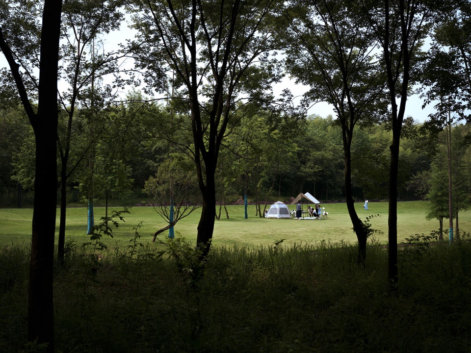 露营草地Camping meadows ©️王宁