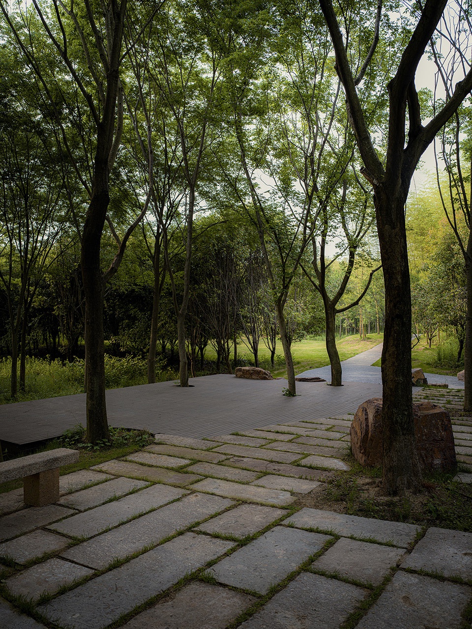 林中小憩Rest area in woods. ©️王宁