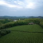 宜兴窑湖小镇晴雨湖公园景观设计，江苏 / 承迹景观