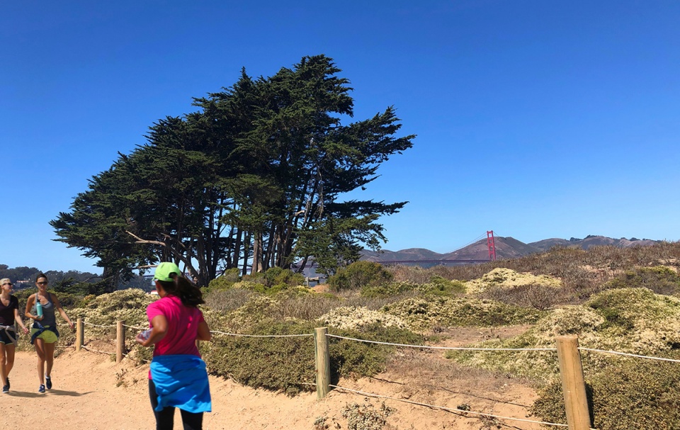 2022 asla landmark award crissy field an enduring transformation hargreaves jones