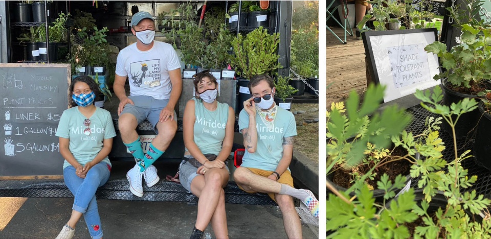 2022 asla communications award of honor miridae mobile nursery growing a native plant community