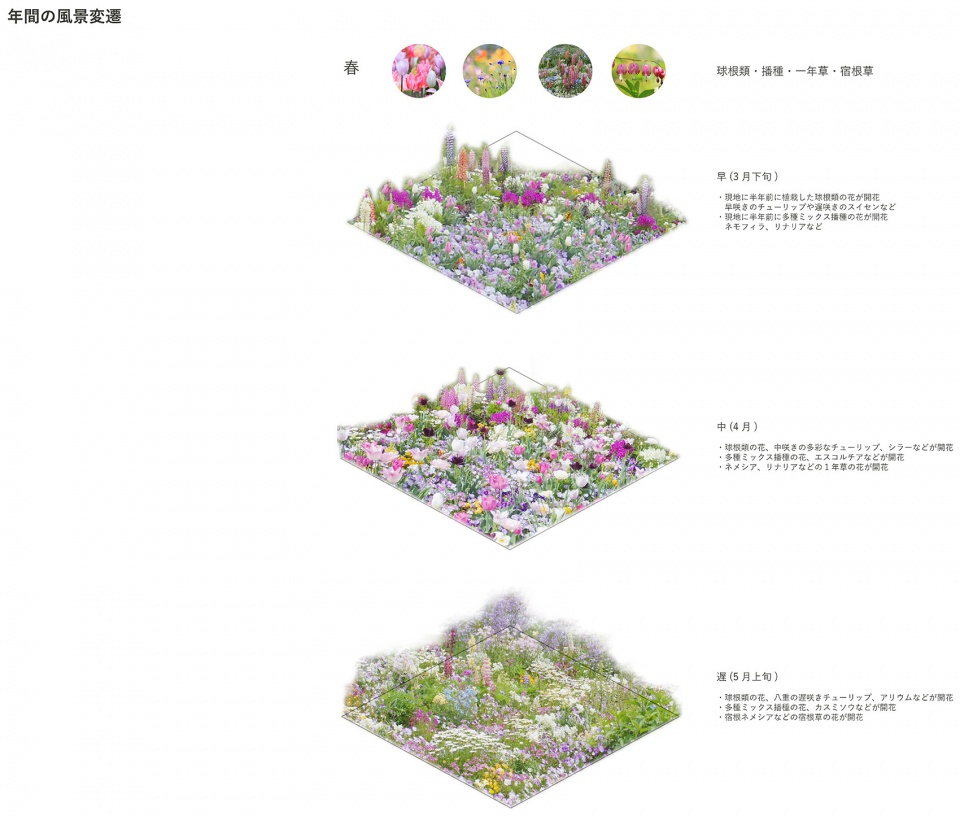 floral satoyama garden by yoshiki toda landscape architecture 春季的植物变化