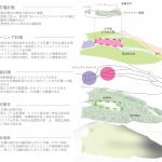 里山花园，横滨 / 户田芳树风景计画