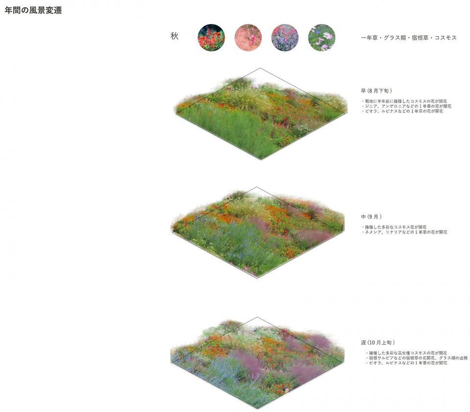 floral satoyama garden by yoshiki toda landscape architecture 秋季的植物变化