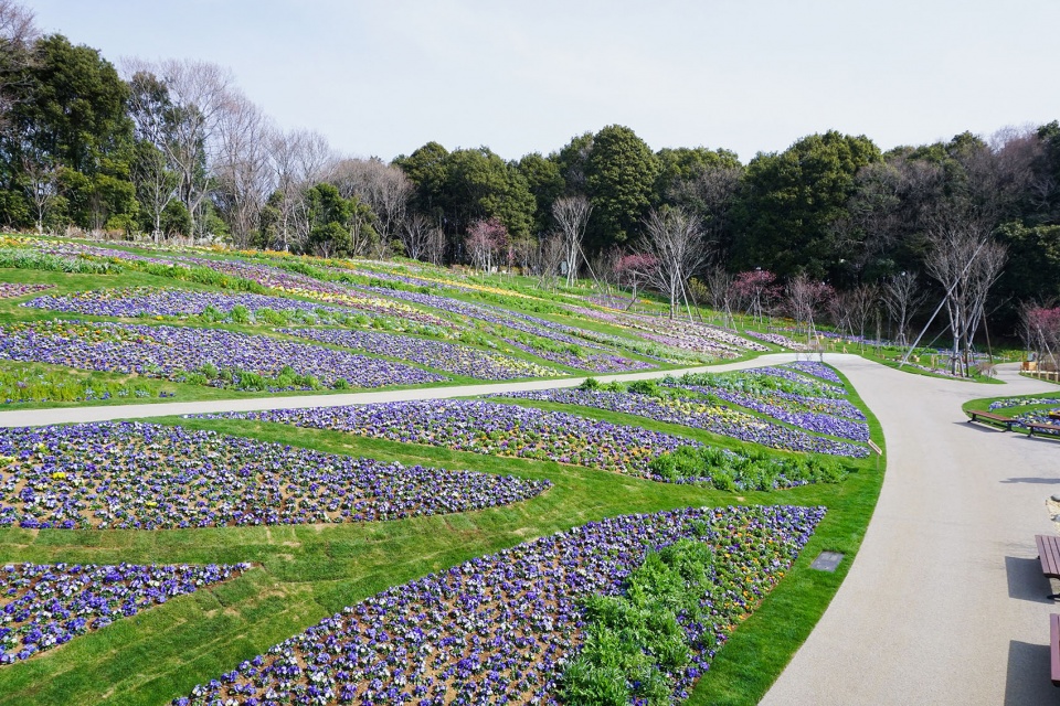 floral satoyama garden by yoshiki toda landscape architecture 2017s
