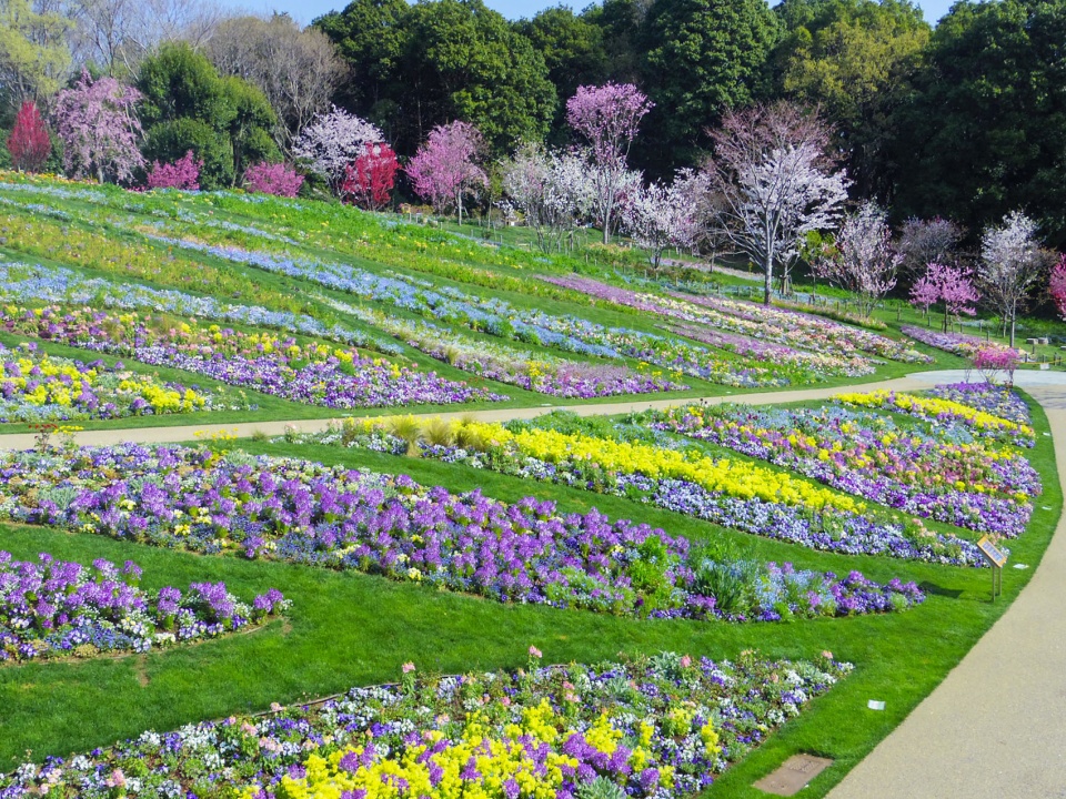 floral satoyama garden by yoshiki toda landscape architecture 2018s