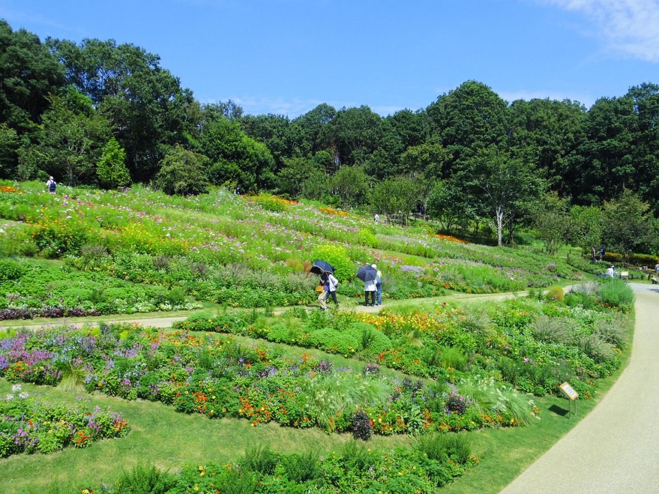 floral satoyama garden by yoshiki toda landscape architecture 2019a