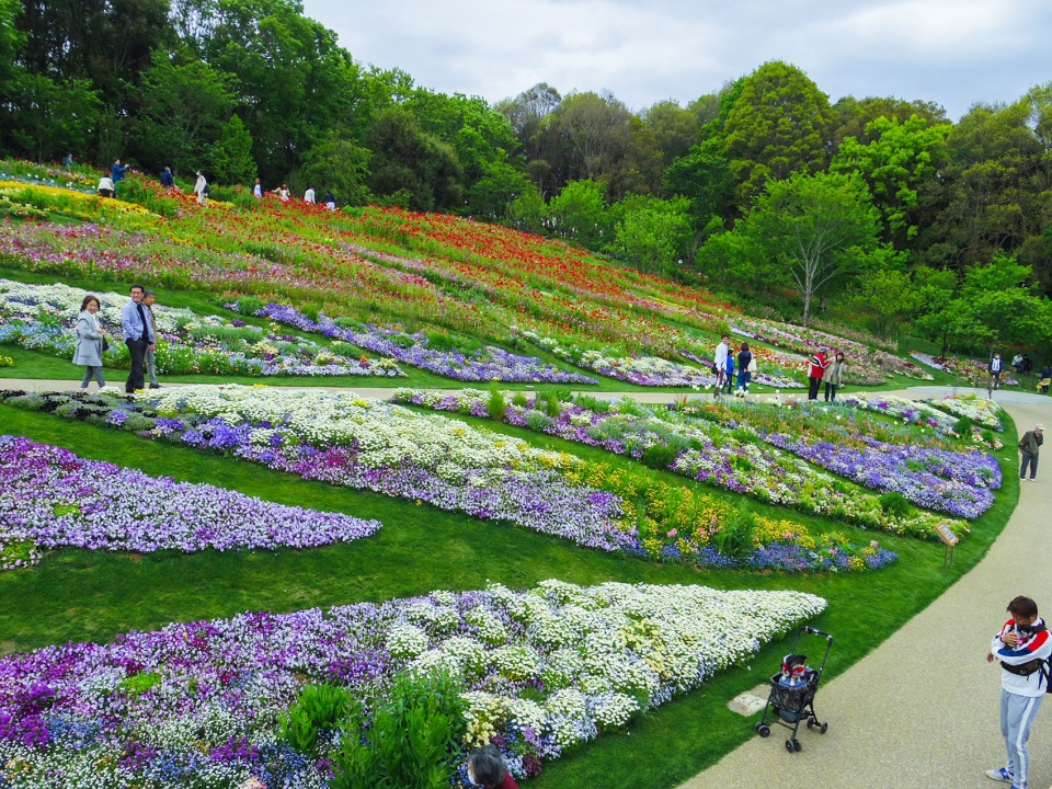 floral satoyama garden by yoshiki toda landscape architecture 2019s