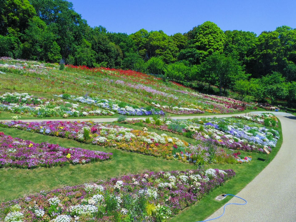 floral satoyama garden by yoshiki toda landscape architecture 2020s