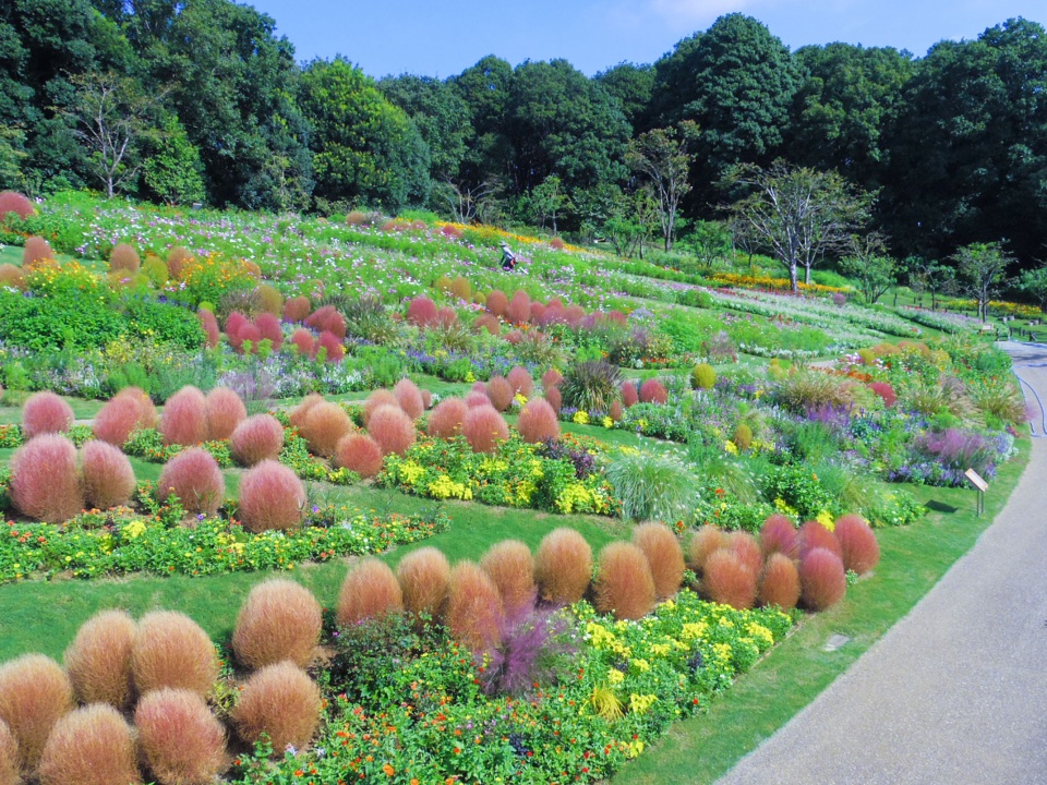 floral satoyama garden by yoshiki toda landscape architecture 2021a
