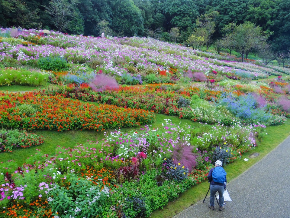 floral satoyama garden by yoshiki toda landscape architecture 2022a
