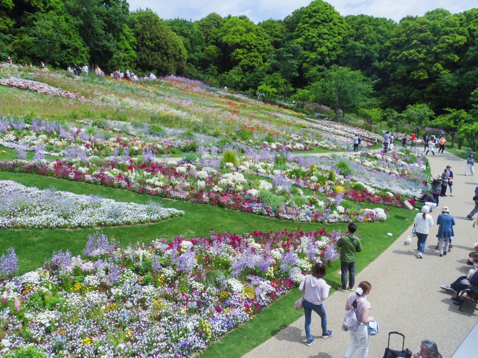 floral satoyama garden by yoshiki toda landscape architecture 2022s