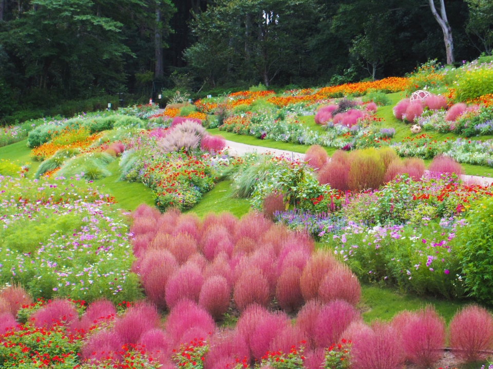floral satoyama garden by yoshiki toda landscape architecture IMGP2599