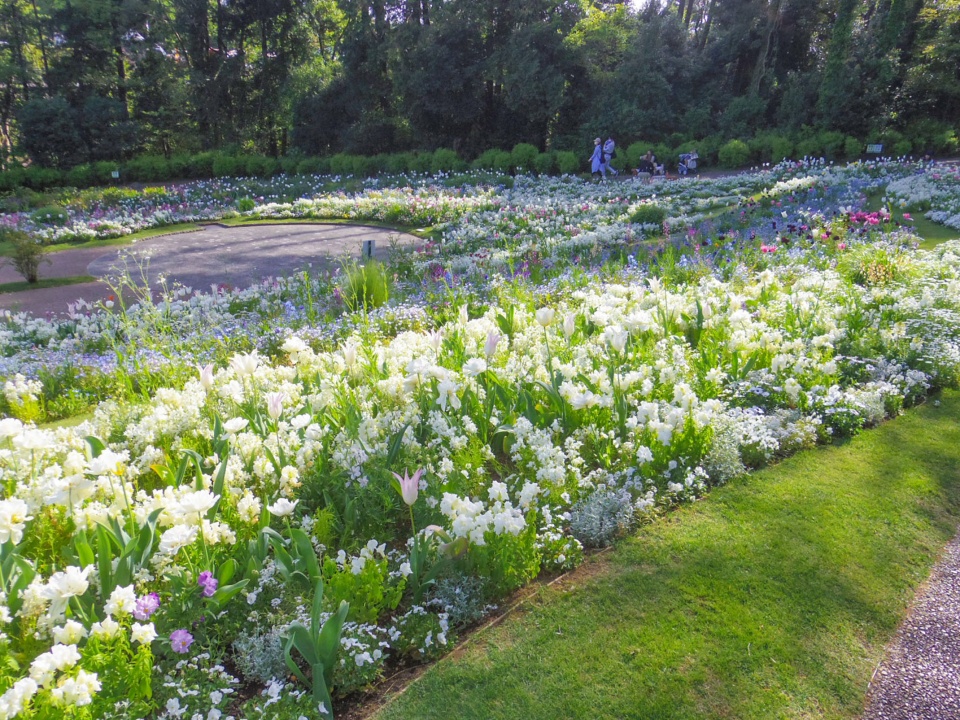 floral satoyama garden by yoshiki toda landscape architecture IMGP6685