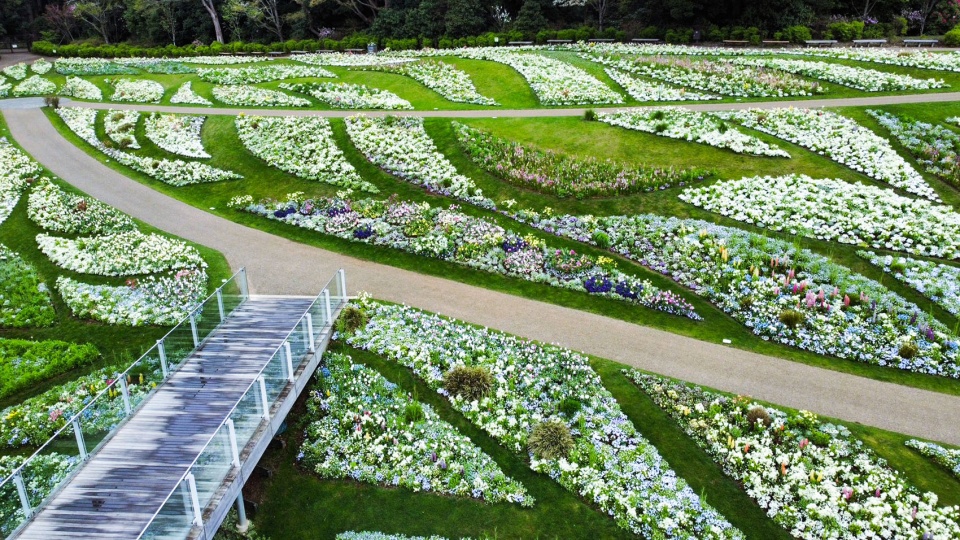 floral satoyama garden by yoshiki toda landscape architecture LINE ALBUM ドローン230402 230414 20