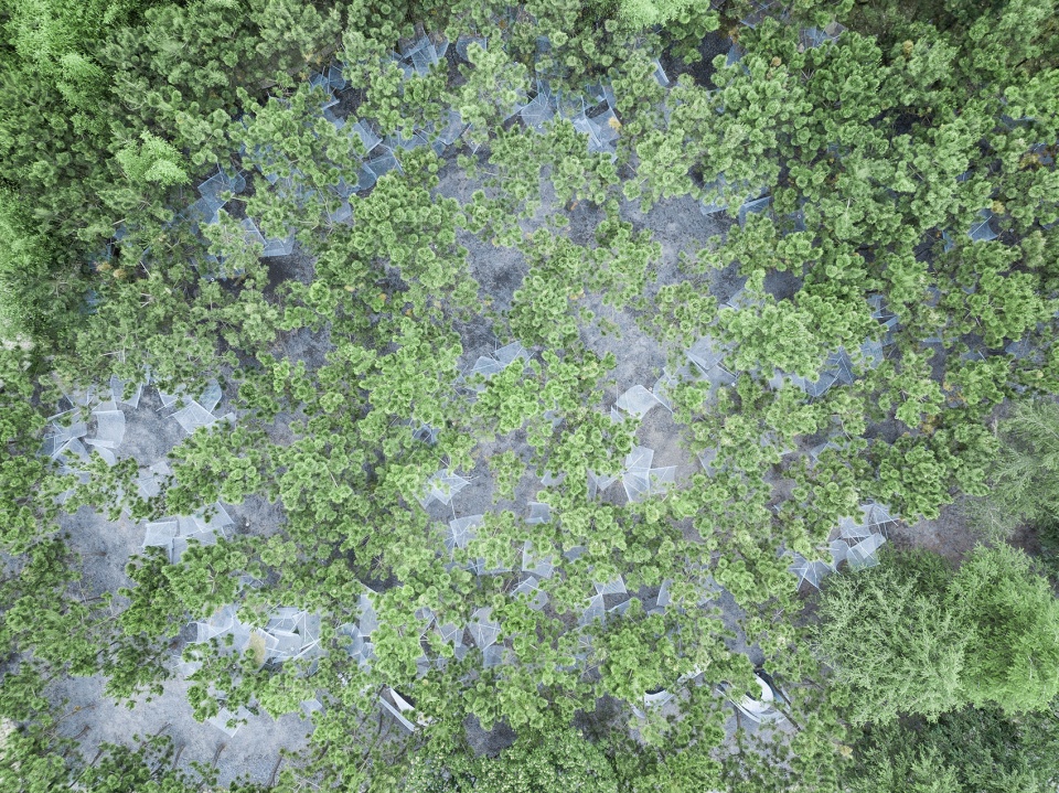 鸟瞰