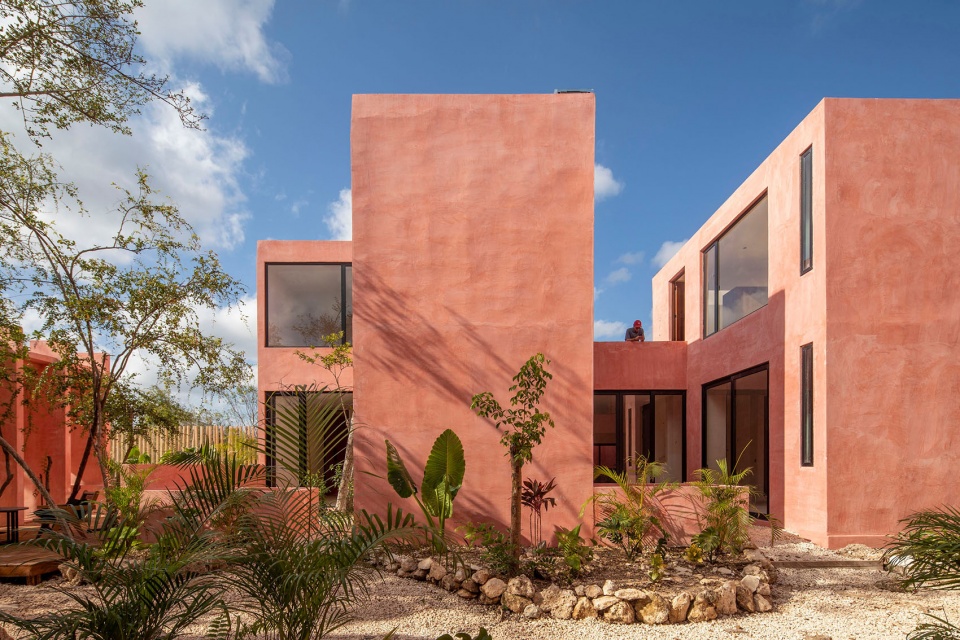 TULIX COYOTE ARQUITECTURA