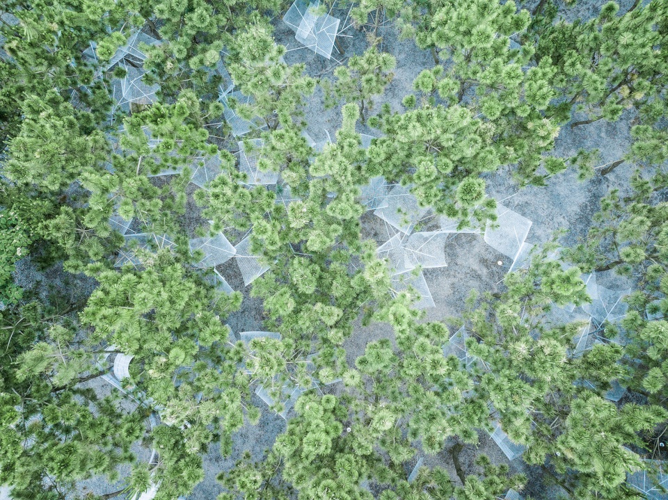 鸟瞰