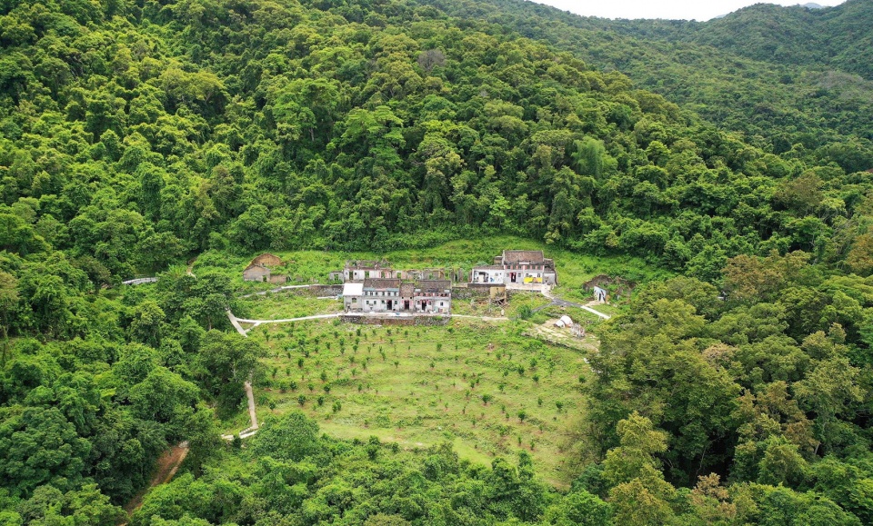 project plum grove by school of architecture the chinese university of hong kong