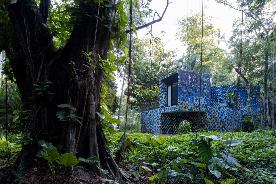 casa las olas by young projects