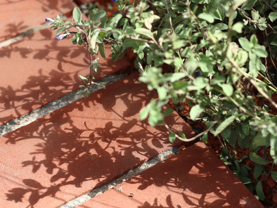 Jingshan Villa Community Co Garden China by Public Space Lab School of Architecture Harbin Institute of Technology Shenzhen