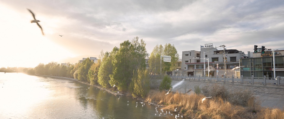 Lhasa Arro kamba China by Kunming Zhuhan Jingdi Design Co Ltd