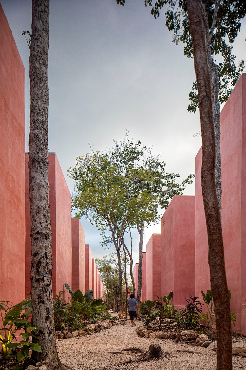 TULIX COYOTE ARQUITECTURA