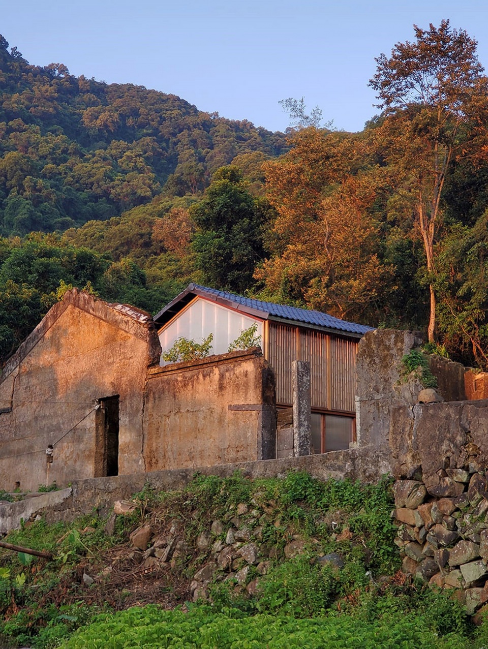 project plum grove by school of architecture the chinese university of hong kong