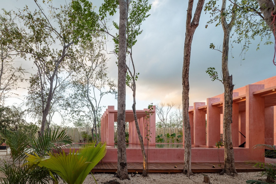 TULIX COYOTE ARQUITECTURA