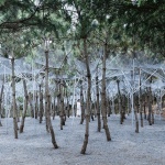 “松衣剧场”与“苏子美人靠”，山东 / 孔祥伟工作室