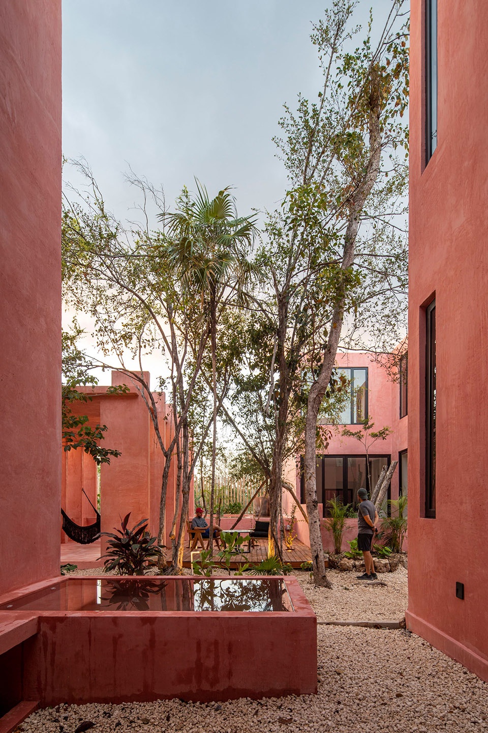 TULIX COYOTE ARQUITECTURA