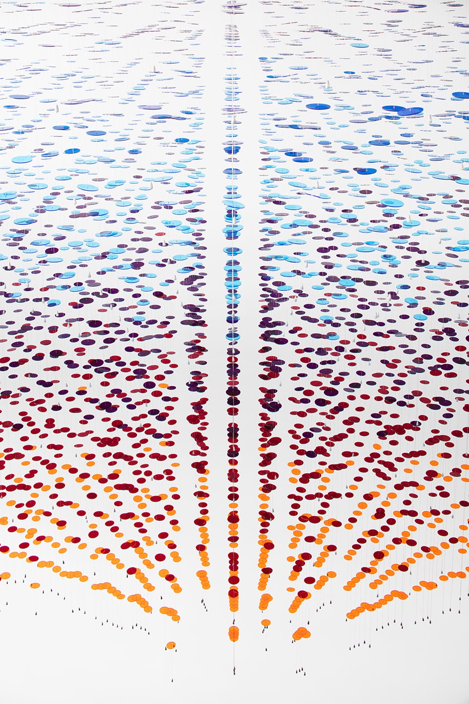Binary Spectrum by Dubbeldam Architecture Design