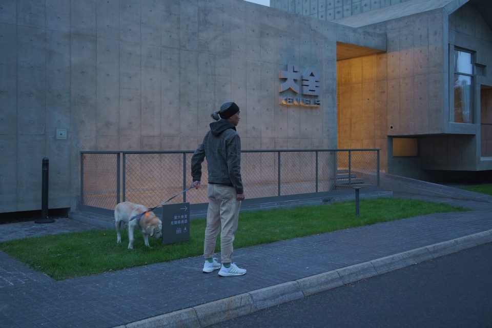 018 the kennels atelier gom