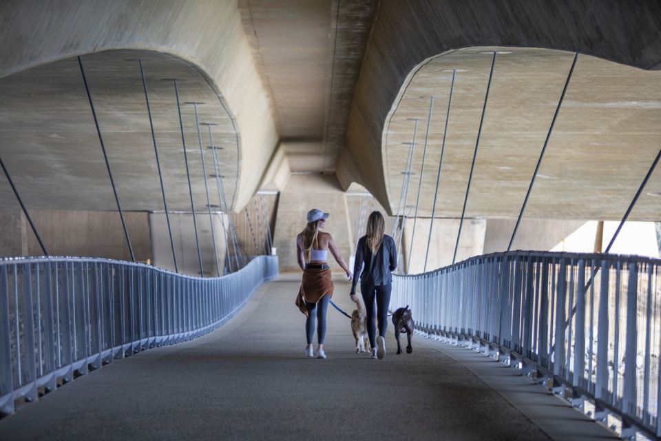 San Elijo Lagoon Pedestrian Bridge