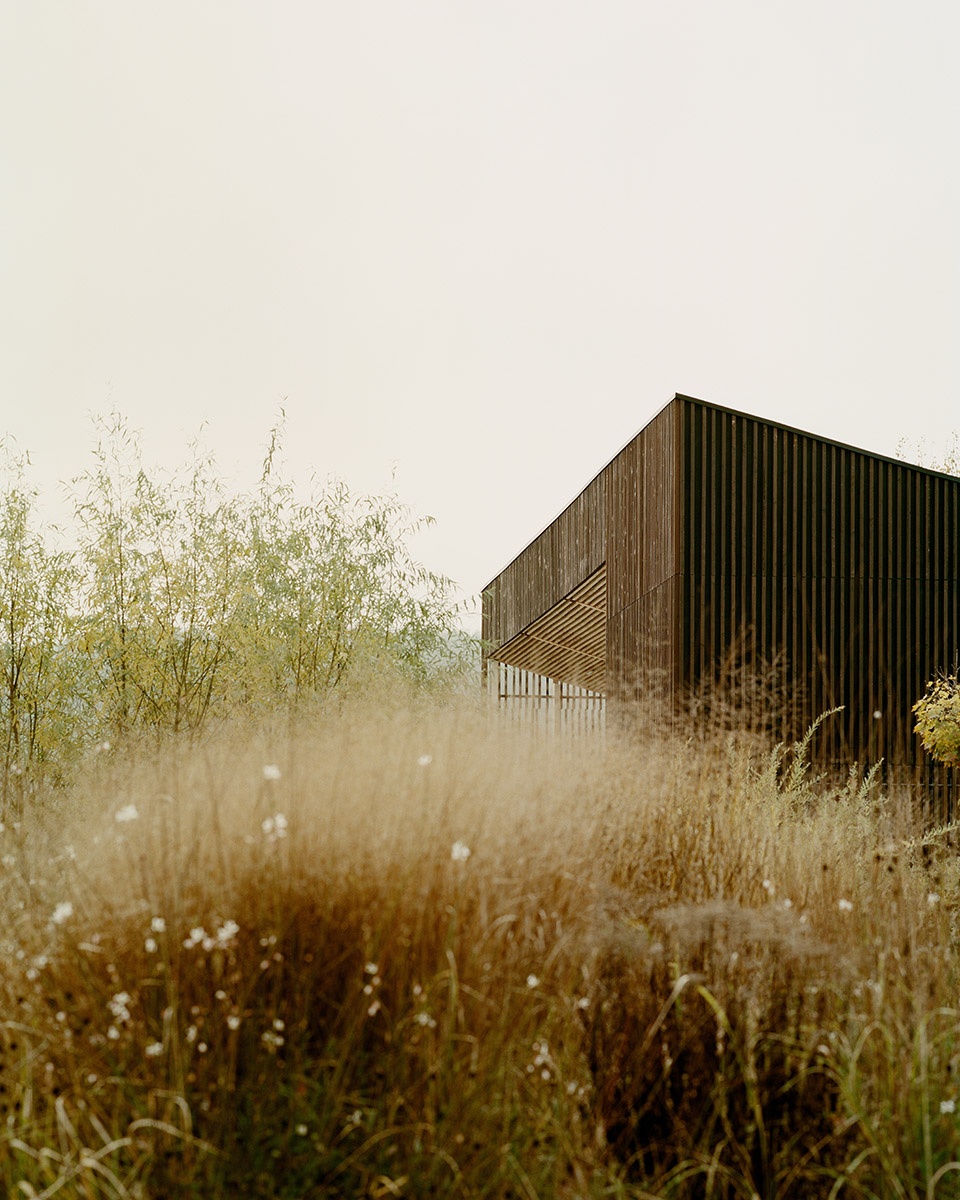 Zalacsany Wellness Pavilion by Archikon Architects
