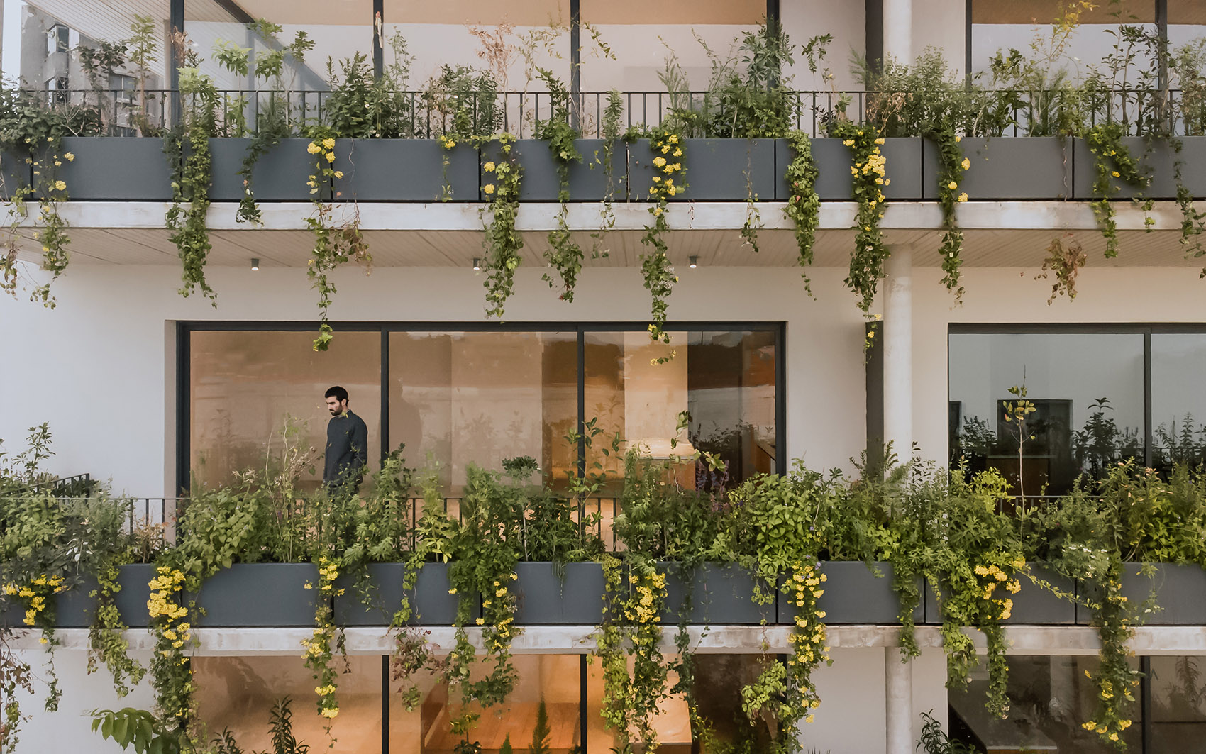 Step-by-Step Guides for Building Your Vertical Garden - green.org