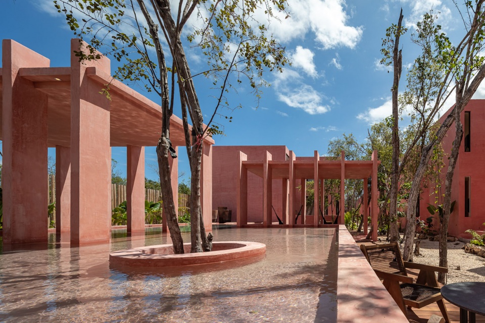 TULIX COYOTE ARQUITECTURA
