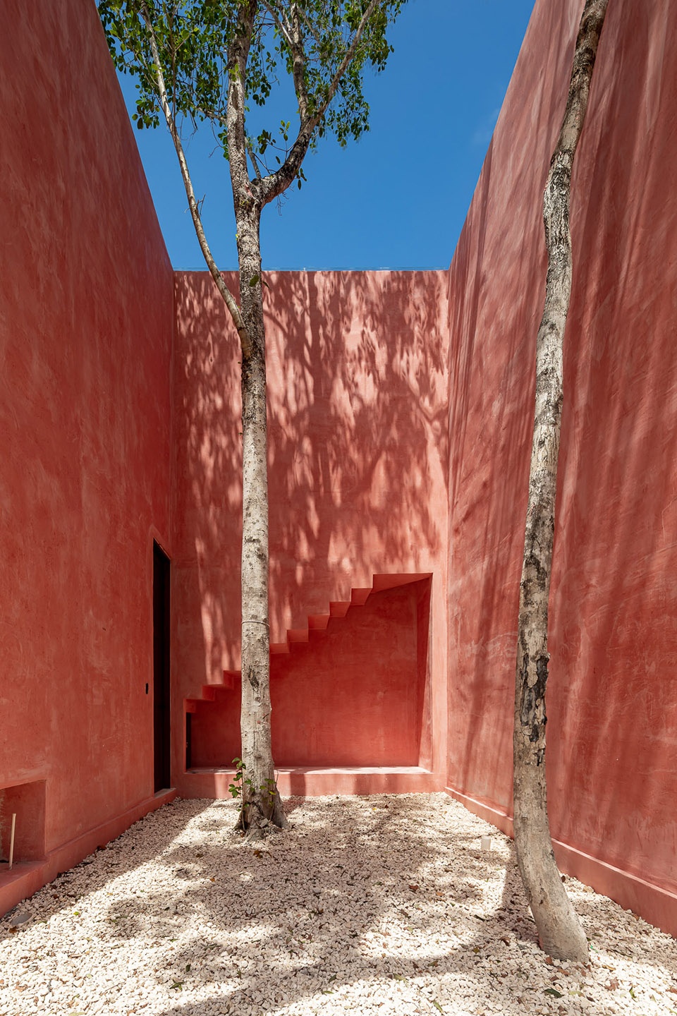 TULIX COYOTE ARQUITECTURA