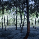 “松衣剧场”与“苏子美人靠”，山东 / 孔祥伟工作室