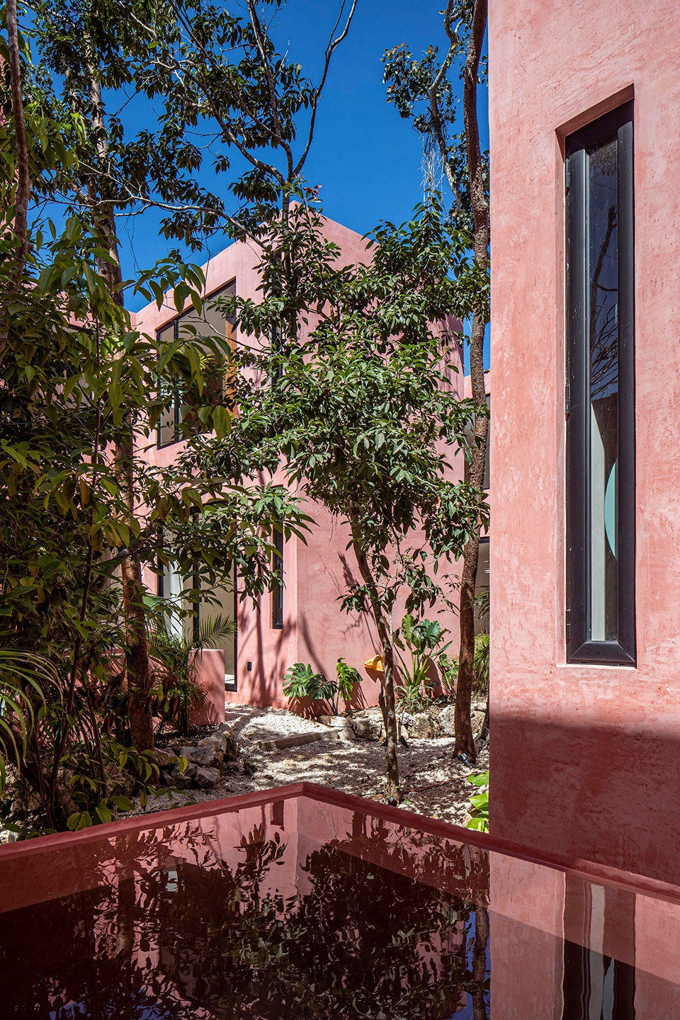 TULIX COYOTE ARQUITECTURA