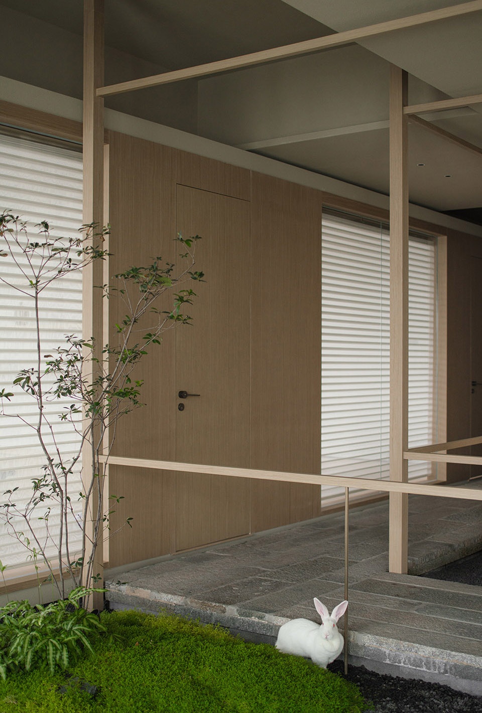 Ontology and its epidermis China by Tenon design k0t