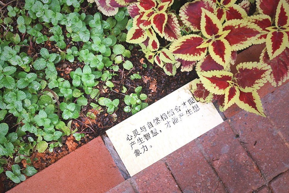 Jingshan Villa Community Co Garden China by Public Space Lab School of Architecture Harbin Institute of Technology Shenzhen